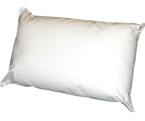 Sleepyhead Microfresh Waterproof Pillow